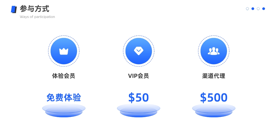 手机AI海外问卷调查，2025首发红利期项目