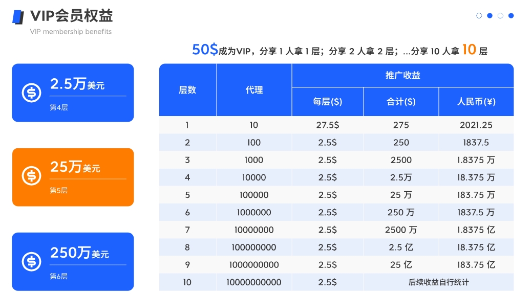 手机AI海外问卷调查，2025首发红利期项目