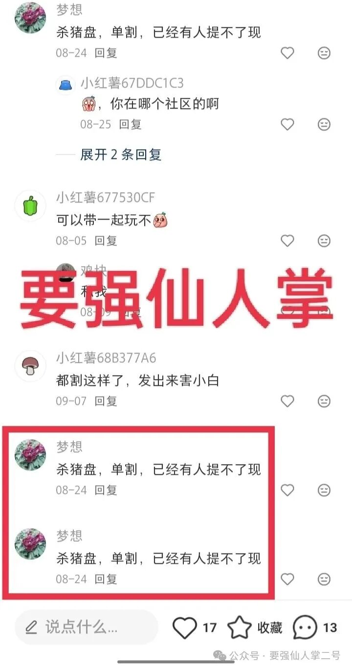 紧急曝光:“睿盛环球Golden Link”连环骗局始末,政府三级预警下的收割狂欢! 紧急曝光:“睿盛环球Golden Link”连环骗局始末,政府三级预警下的收割狂欢!