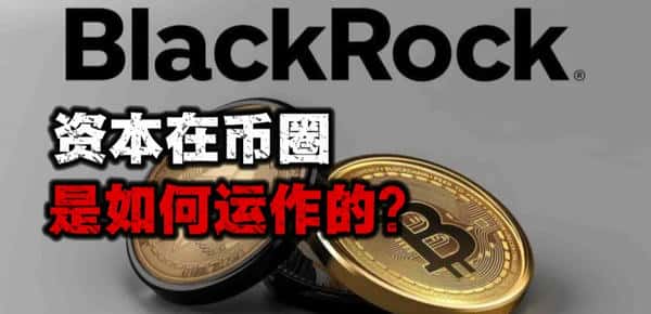 资本运作揭秘：掌握这些币圈生存法则！